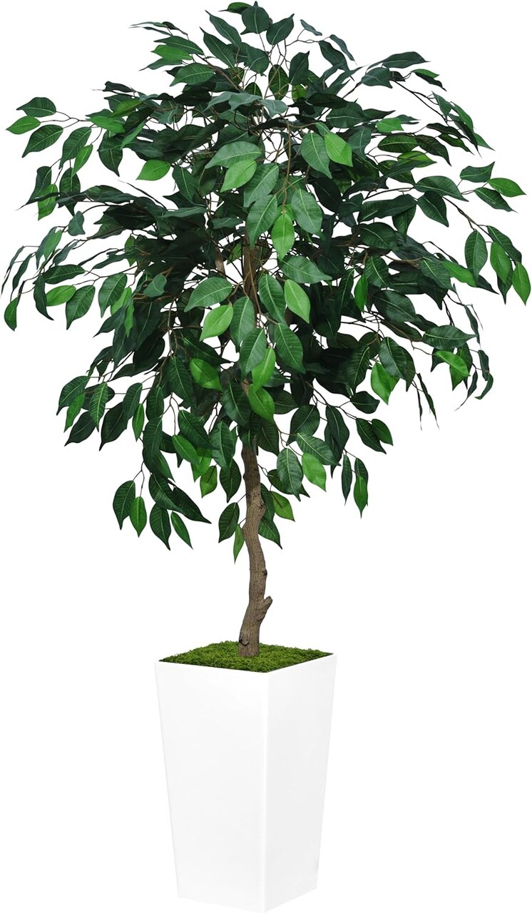 5ft Artificial Ficus Tree – Faux Indoor Plant with White Tall Planter for Home & Office Decor